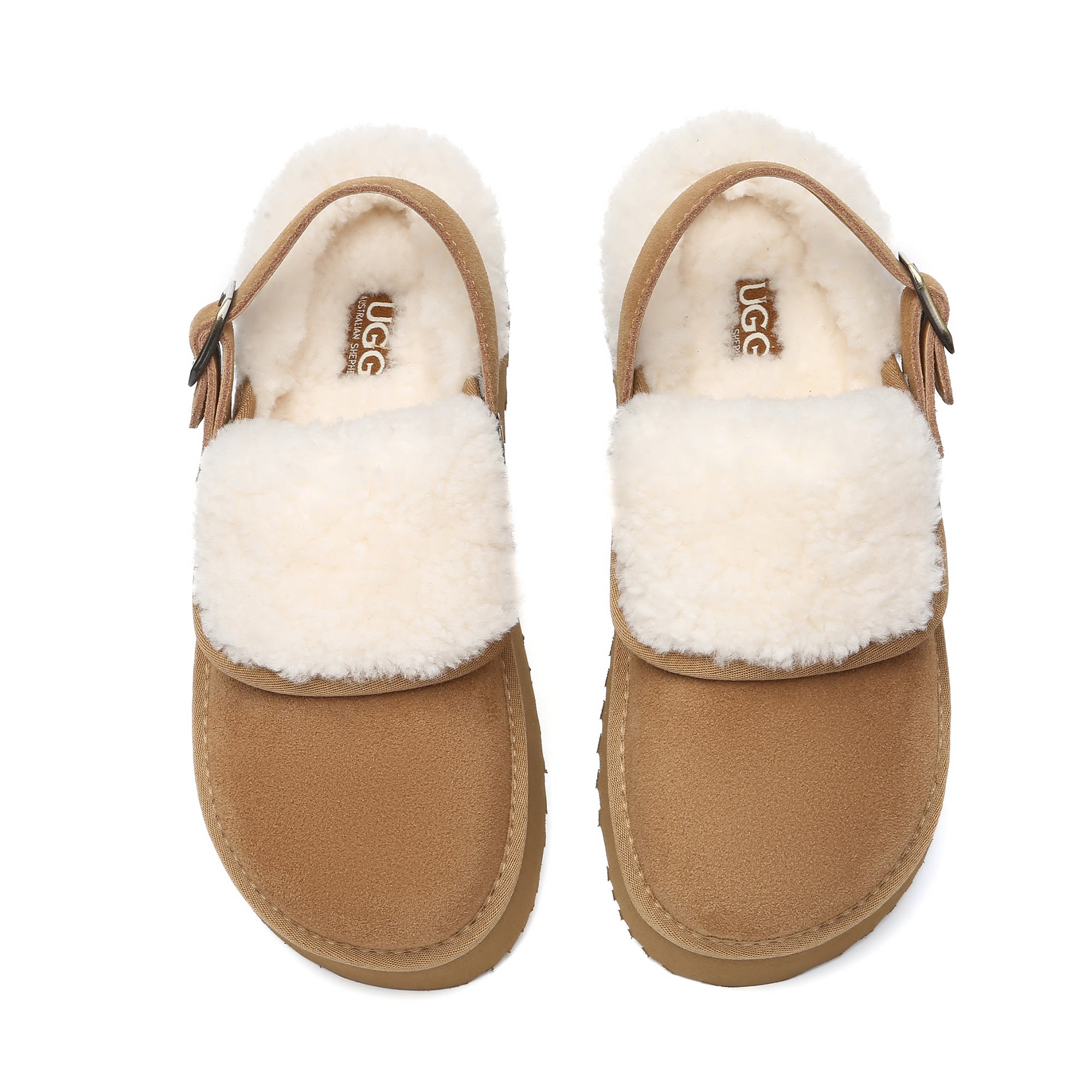 EverUgg Buckle Strap UGG platform slippers Tenley with cushioned soles and stylish buckle detail, perfect for comfortable home wear.