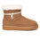Lynn Zip Mini Ankle UGG Boots