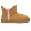 Tass Mini Ankle UGG Boots