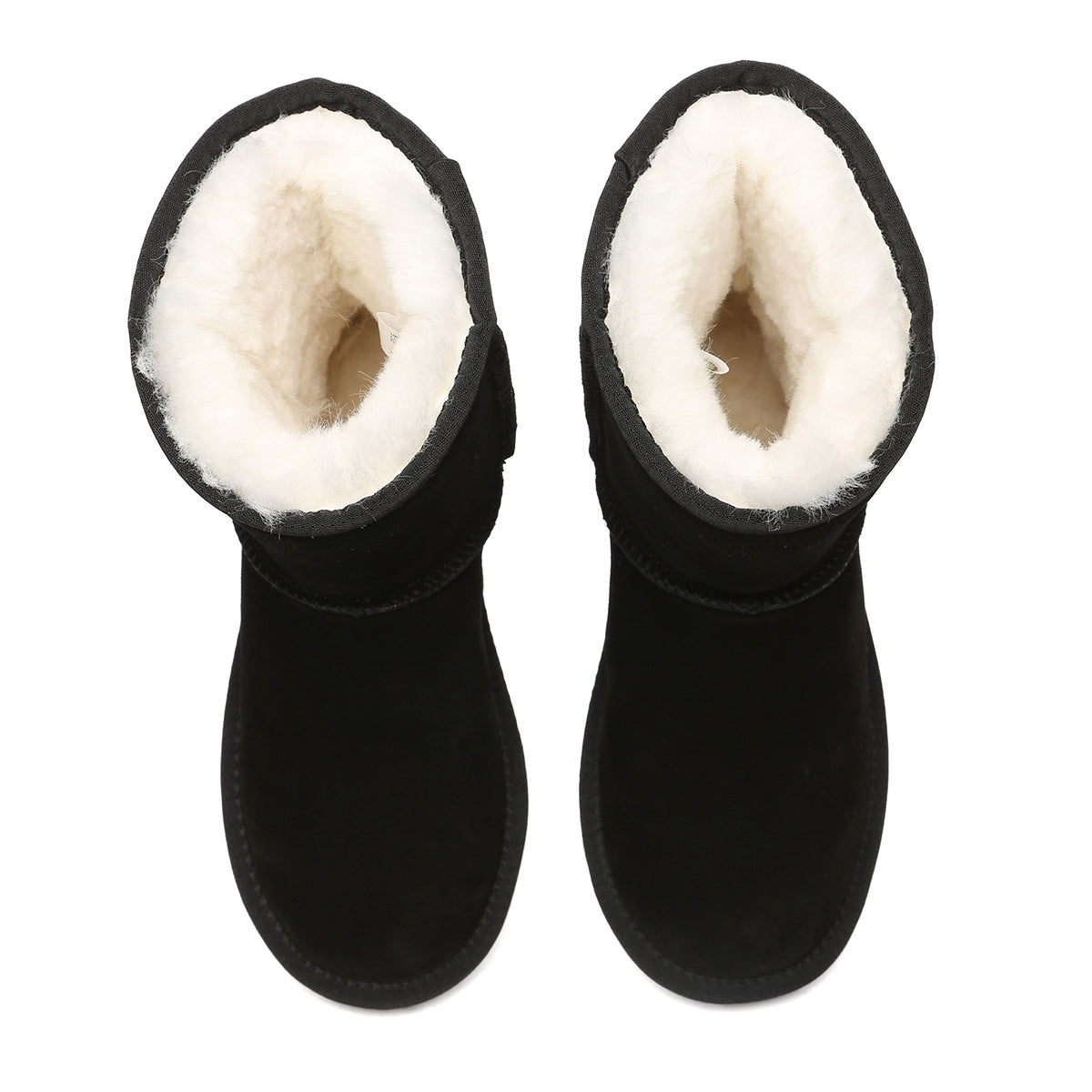 Black EverUgg short classic suede UGG boots with a rounded toe and plush interior, displayed on a neutral background.